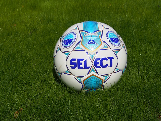 会费不仅没 会费不仅没