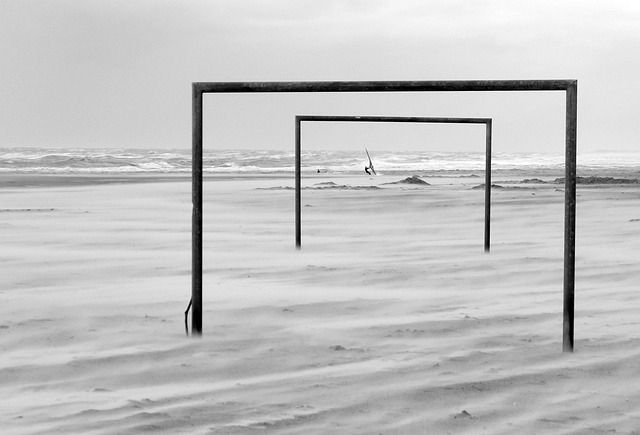 也要感恩并 也要感恩并