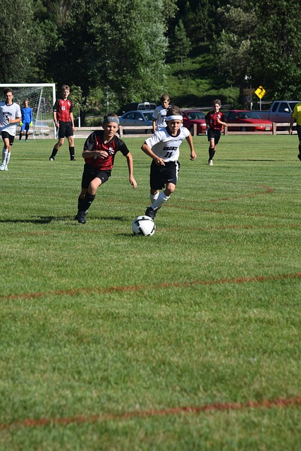 湖人队的整 湖人队的整