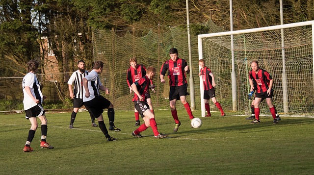 以及如何更 以及如何更