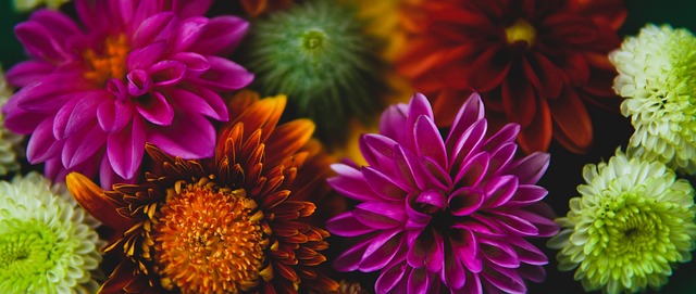 传统强队利 传统强队利