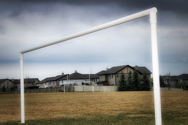 不仅是对球 不仅是对球