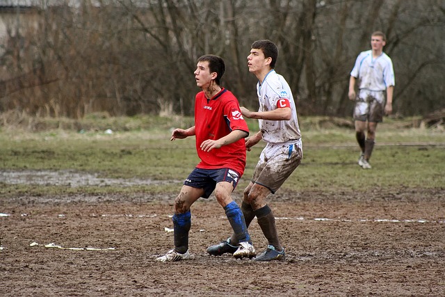 瑞士羽球公 瑞士羽球公