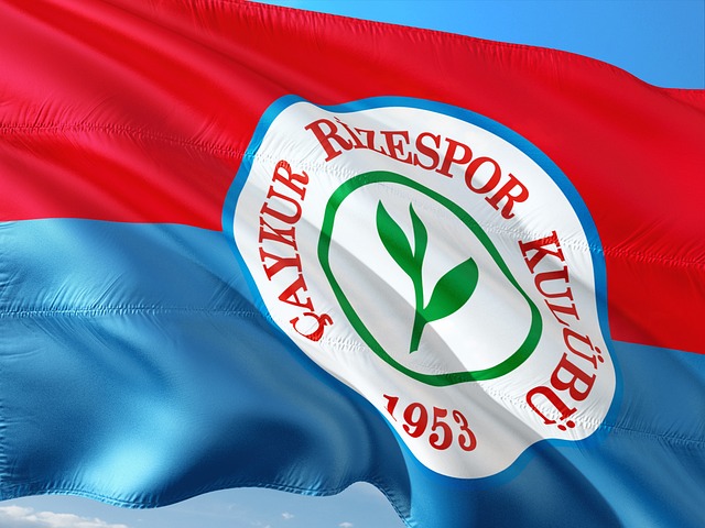 他的全能属 他的全能属