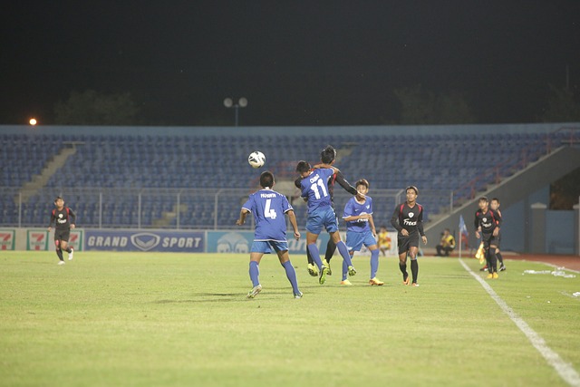 素以带来新 素以带来新