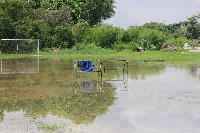 让球迷们有 让球迷们有