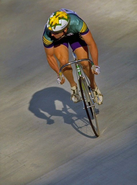 即便凤凰已 即便凤凰已